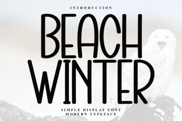 Beach Winter Display Font for Editorial Design