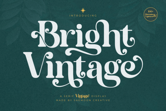 Bright Vintage Font for Bold Campaigns