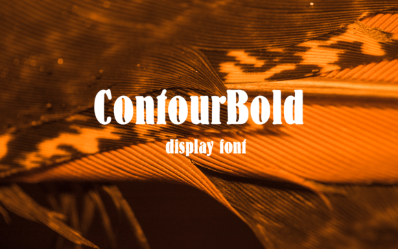 Contour Bold Font