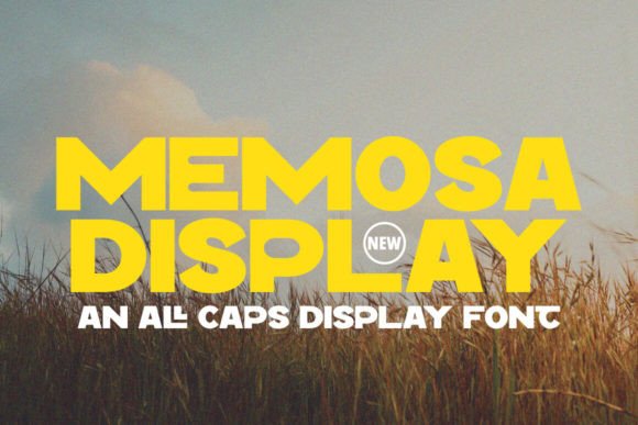 Memosa Font for Bold Design